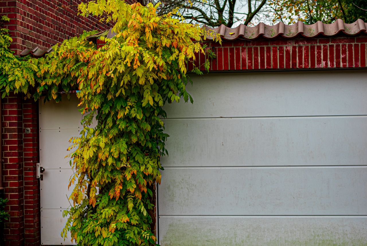 Garage door service in Southlake, TX